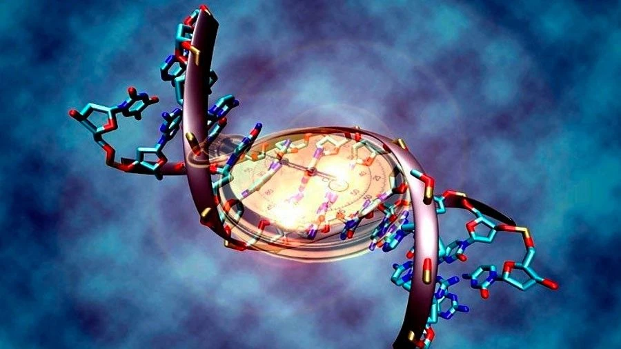 Ακόμα και η φύση ορισμένες φορές κάνει φρικτά λάθη – Οι πέντε πιο παράξενες μεταλλάξεις σε ανθρώπους  (Βίντεο)